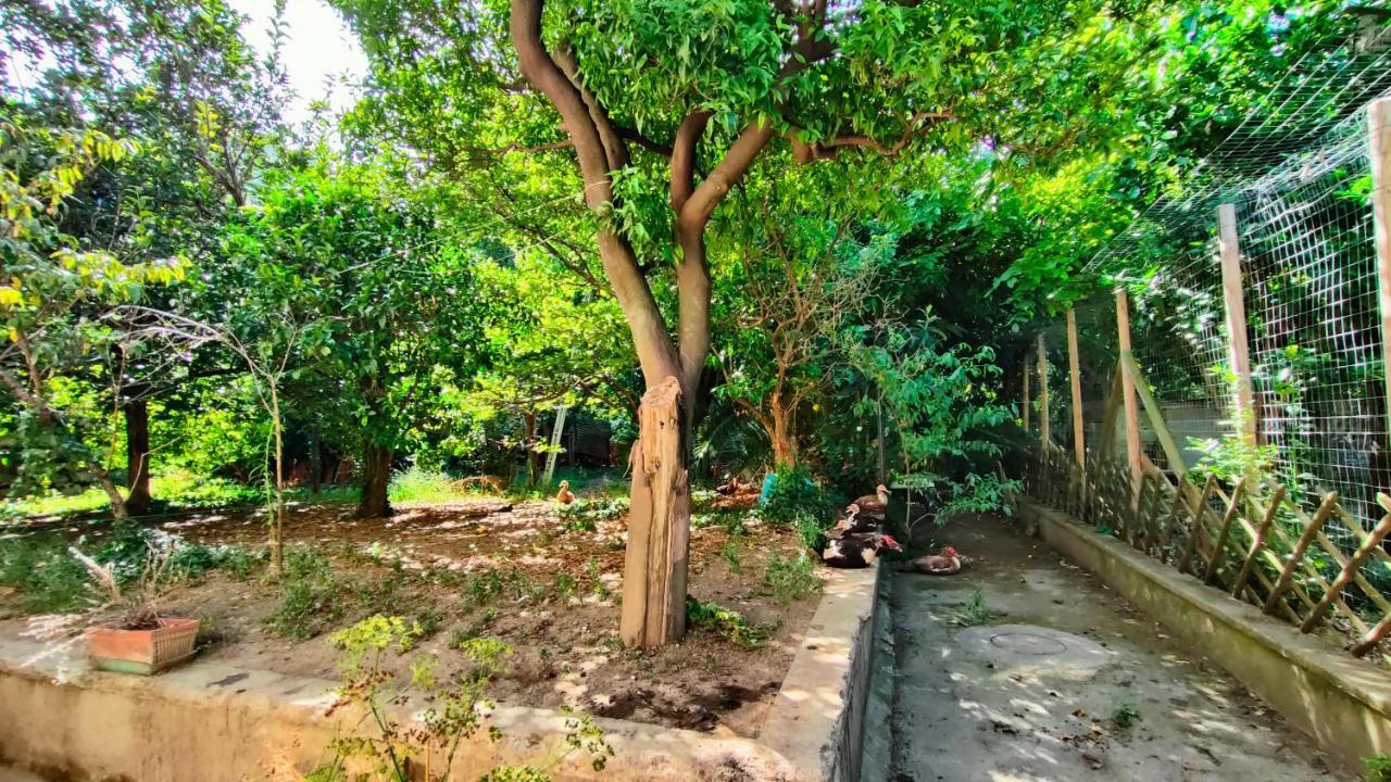 Casa Vacanza "Nonna Matilde" A Meta Di Sorrento, 600Mt Dal Mare, Casa Per 4 Exterior photo